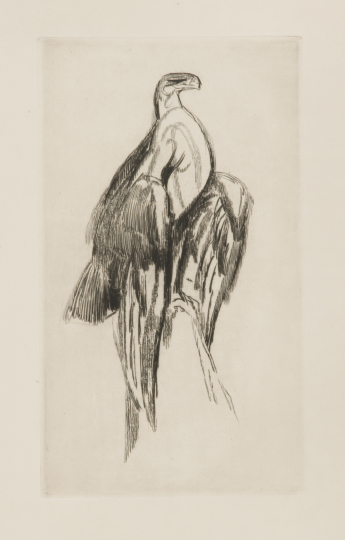 Paul JOUVE (1878-1973) - Aigle sur un rocher, vers 1928